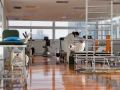 ft_neurologica